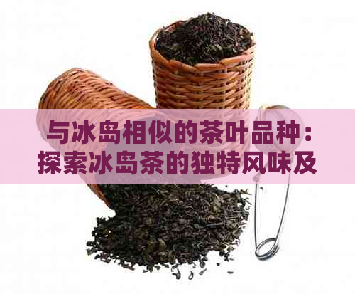 与冰岛相似的茶叶品种：探索冰岛茶的独特风味及其与世界茶文化的联系