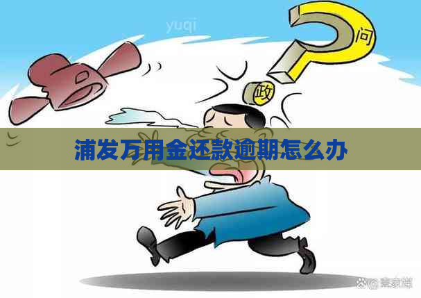 浦发万用金还款逾期怎么办