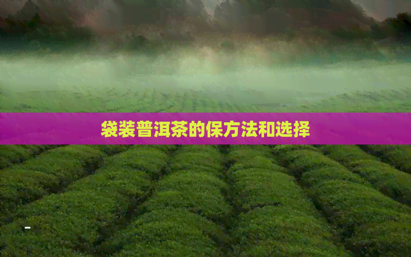 袋装普洱茶的保方法和选择