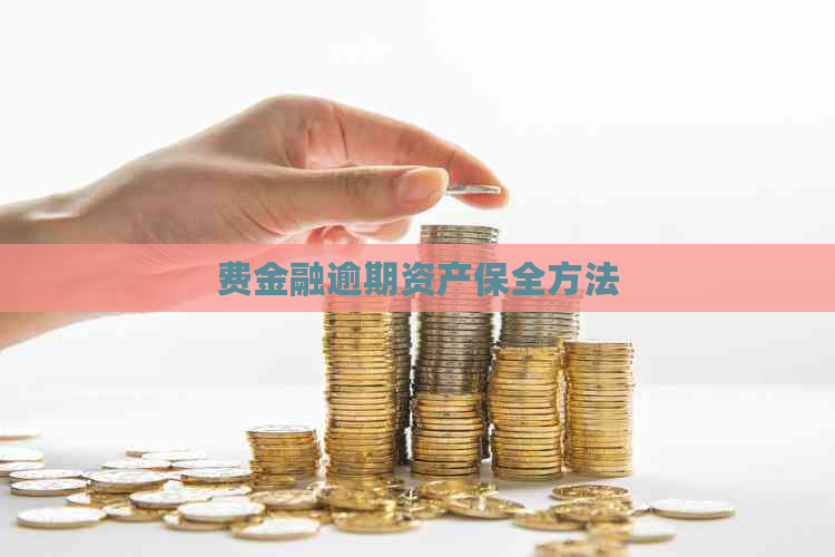 费金融逾期资产保全方法