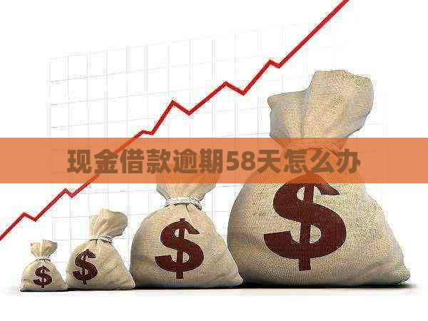 现金借款逾期58天怎么办