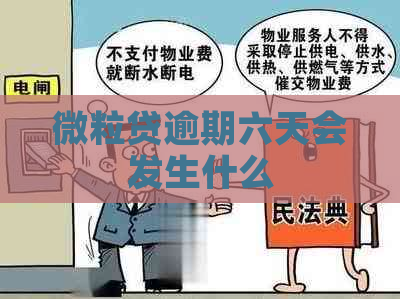 微立贷逾期六天会发生什么