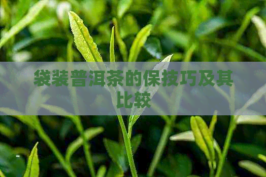 袋装普洱茶的保技巧及其比较