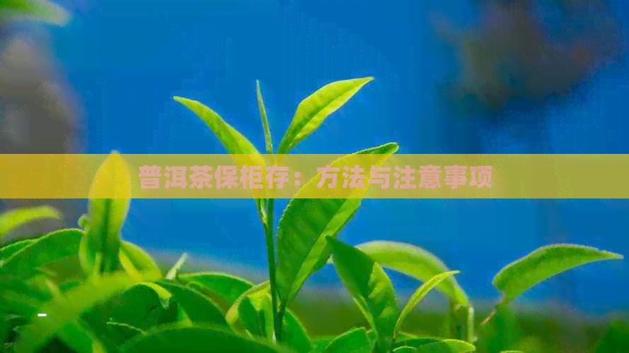 普洱茶保柜存：方法与注意事项