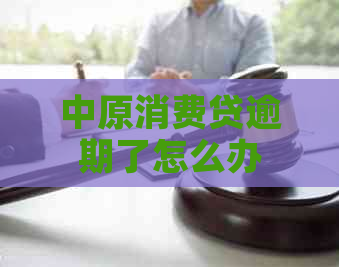 中原消费贷逾期了怎么办