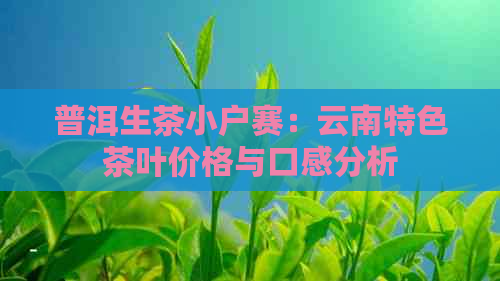 普洱生茶小户赛：云南特色茶叶价格与口感分析