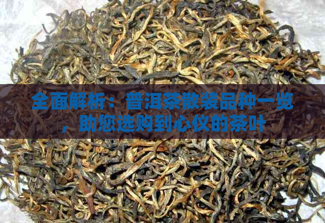 全面解析：普洱茶散装品种一览，助您选购到心仪的茶叶