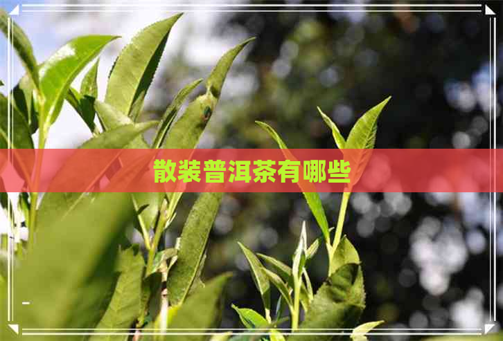 散装普洱茶有哪些