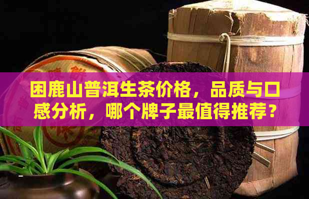 困鹿山普洱生茶价格，品质与口感分析，哪个牌子最值得推荐？