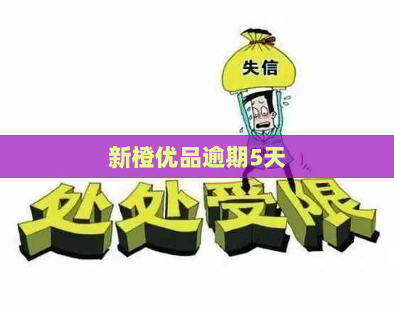 新橙优品逾期5天