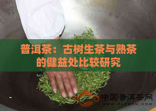 普洱茶：古树生茶与熟茶的健益处比较研究