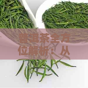 普洱茶全方位解析：从品种到冲泡技巧，让你轻松掌握普洱茶的奥秘