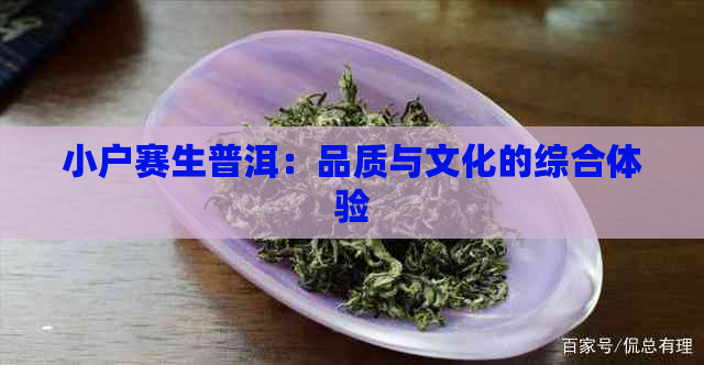 小户赛生普洱：品质与文化的综合体验