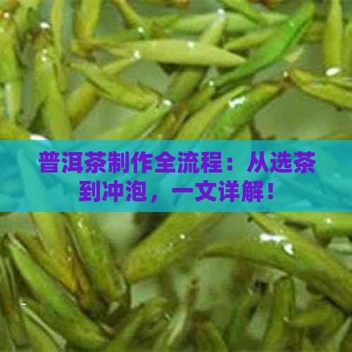 普洱茶制作全流程：从选茶到冲泡，一文详解！