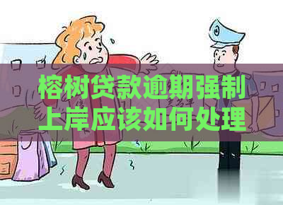 榕树贷款逾期强制上岸应该如何处理