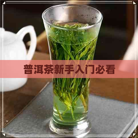 普洱茶新手入门必看