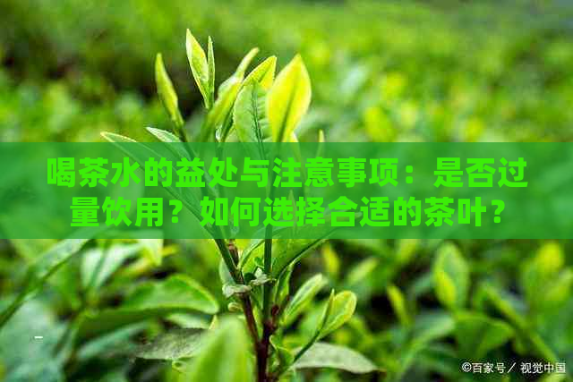 喝茶水的益处与注意事项：是否过量饮用？如何选择合适的茶叶？