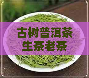 古树普洱茶生茶老茶