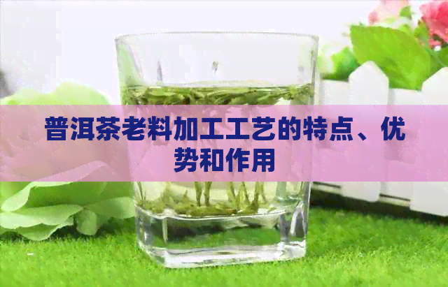 普洱茶老料加工工艺的特点、优势和作用