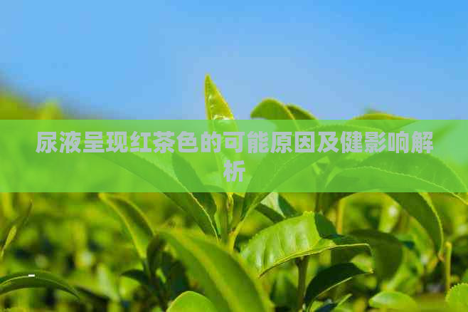 尿液呈现红茶色的可能原因及健影响解析