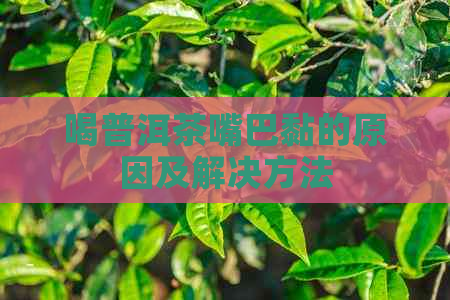 喝普洱茶嘴巴黏的原因及解决方法