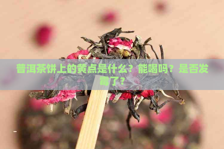 普洱茶饼上的黄点是什么？能喝吗？是否发霉了？