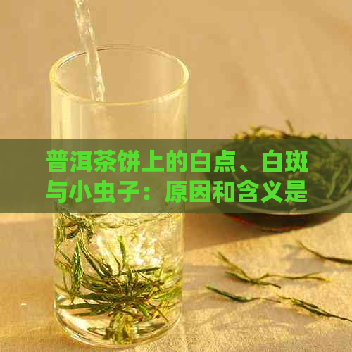 普洱茶饼上的白点、白斑与小虫子：原因和含义是什么？