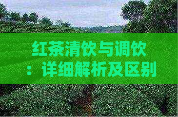 红茶清饮与调饮：详细解析及区别比较，助您更好地选择和品味红茶