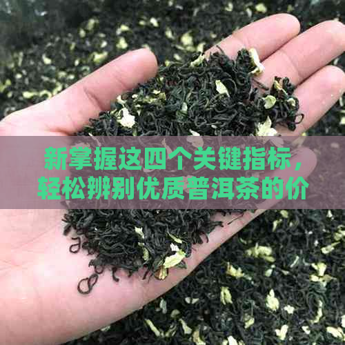 新掌握这四个关键指标，轻松辨别优质普洱茶的价格与品质