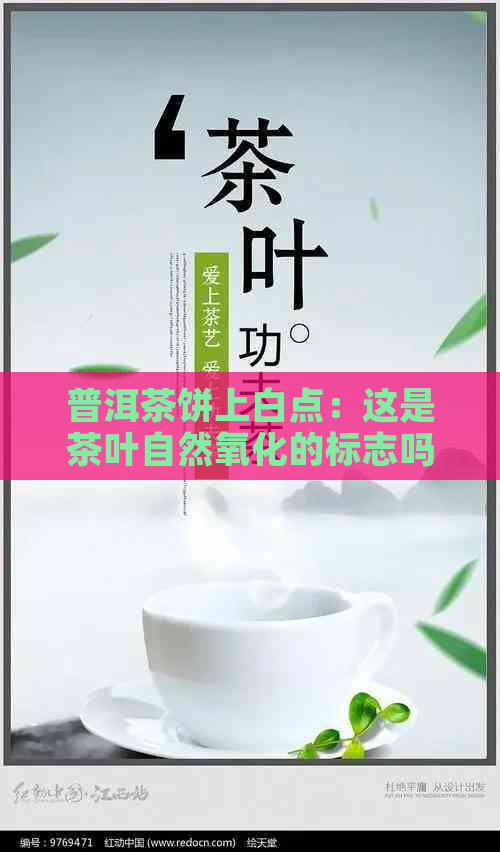 普洱茶饼上白点：这是茶叶自然氧化的标志吗？