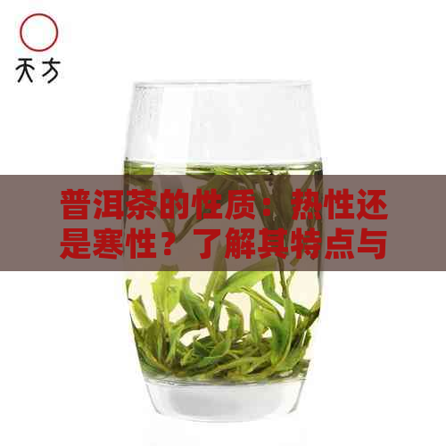 普洱茶的性质：热性还是寒性？了解其特点与适用人群