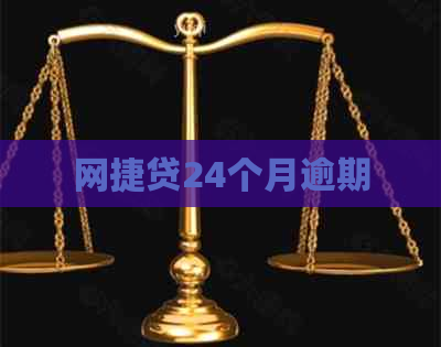 网捷贷24个月逾期