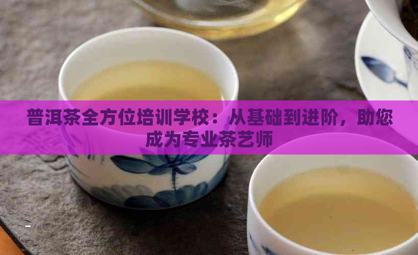 普洱茶全方位培训学校：从基础到进阶，助您成为专业茶艺师