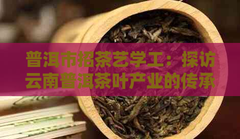 普洱市招茶艺学工：探访云南普洱茶叶产业的传承与发展