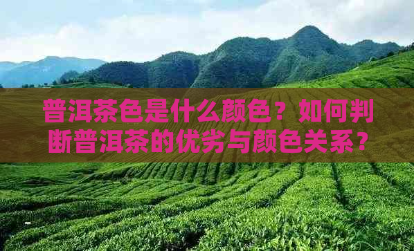 普洱茶色是什么颜色？如何判断普洱茶的优劣与颜色关系？