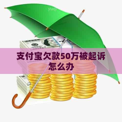 支付宝欠款50万被起诉怎么办