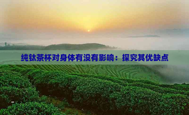 纯钛茶杯对身体有没有影响：探究其优缺点