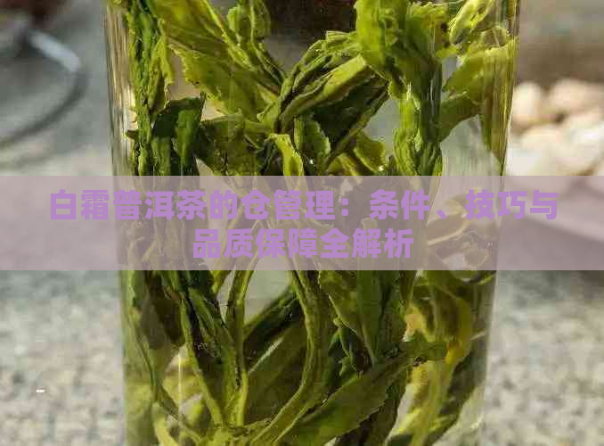 白霜普洱茶的仓管理：条件、技巧与品质保障全解析