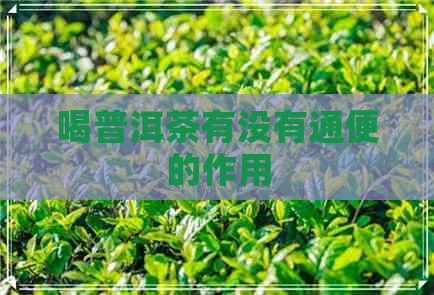 喝普洱茶有没有通便的作用