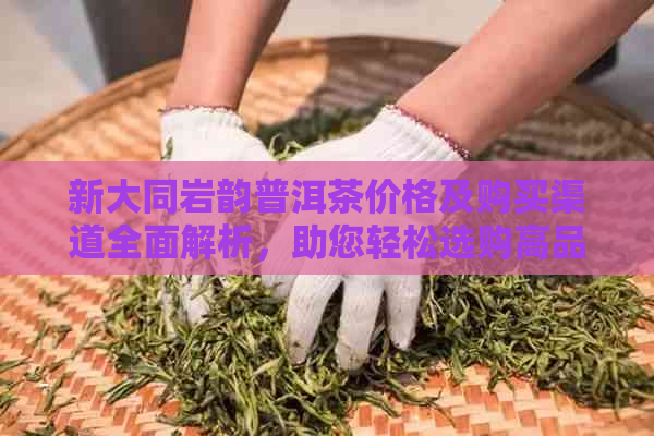 新大同岩韵普洱茶价格及购买渠道全面解析，助您轻松选购高品质茶叶。