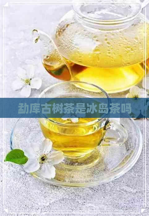 勐库古树茶是冰岛茶吗