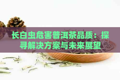 长白虫危害普洱茶品质：探寻解决方案与未来展望