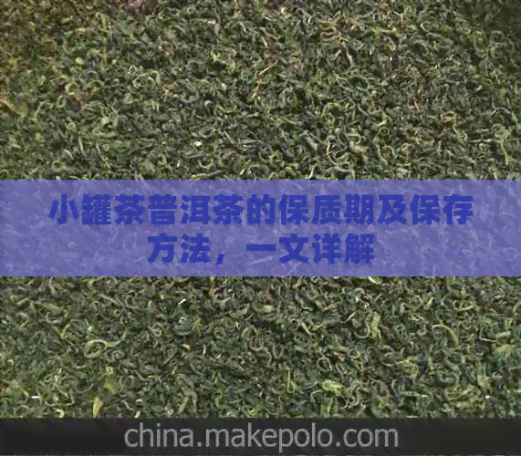 小罐茶普洱茶的保质期及保存方法，一文详解