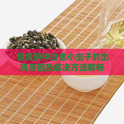 普洱茶中白色小虫子的出现原因及解决方法解析