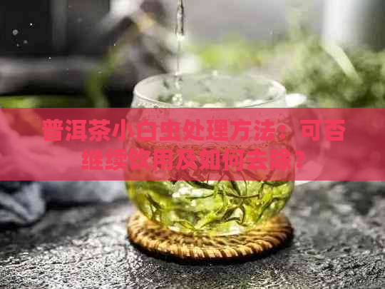 普洱茶小白虫处理方法：可否继续饮用及如何去除？