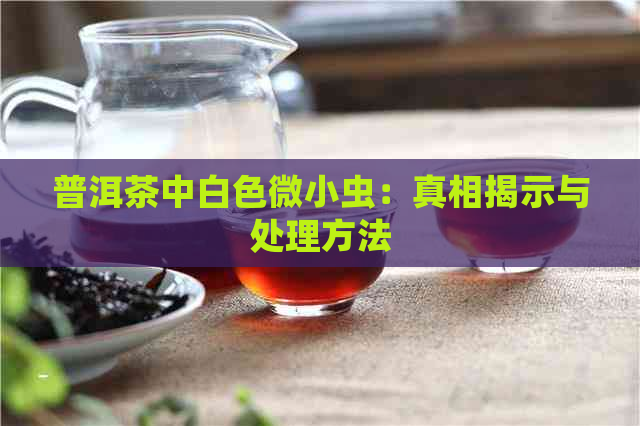 普洱茶中白色微小虫：真相揭示与处理方法