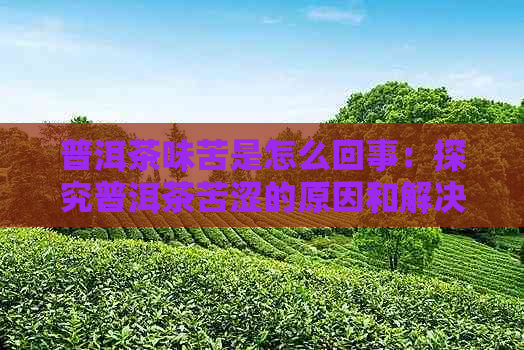 普洱茶味苦是怎么回事：探究普洱茶苦涩的原因和解决方法