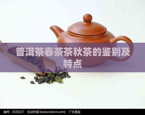 普洱茶春茶茶秋茶的鉴别及特点