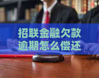 招联金融欠款逾期怎么偿还