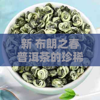 新 布朗之春普洱茶的珍稀价值与市场行情分析